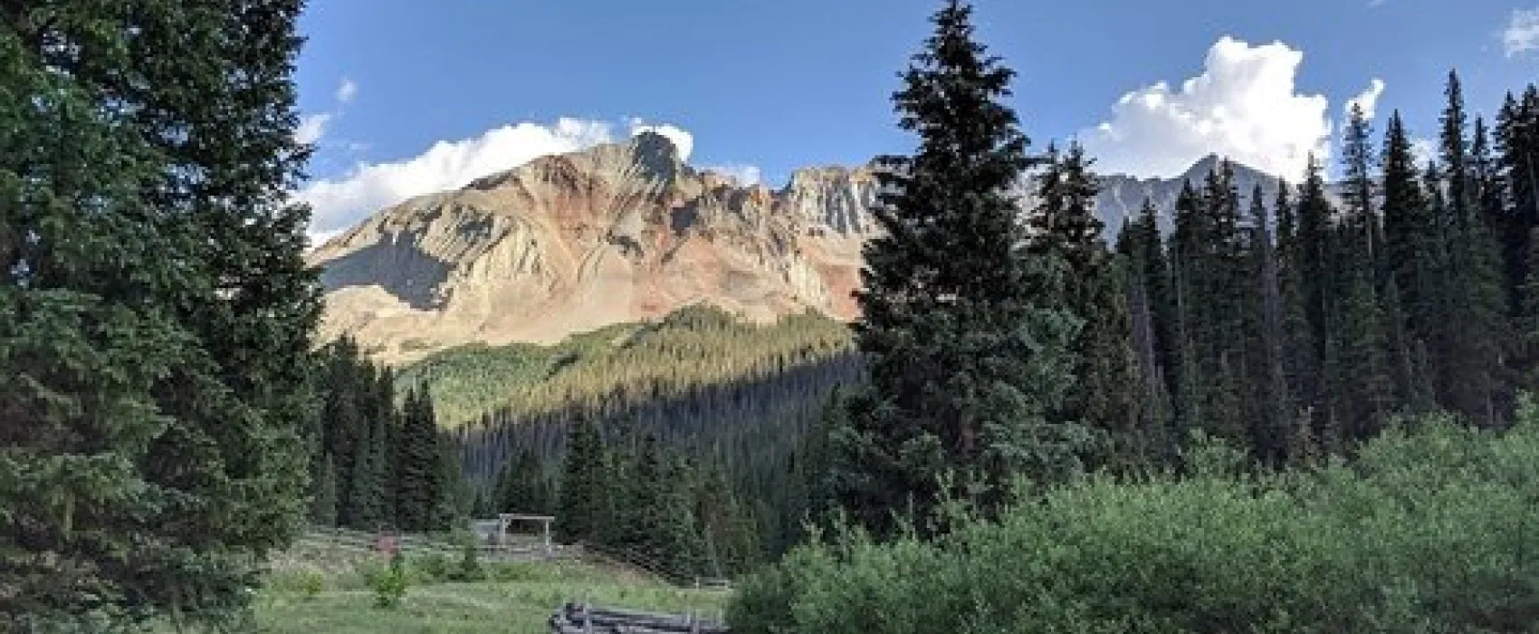 North Trout Lake Road Dispersed Camping