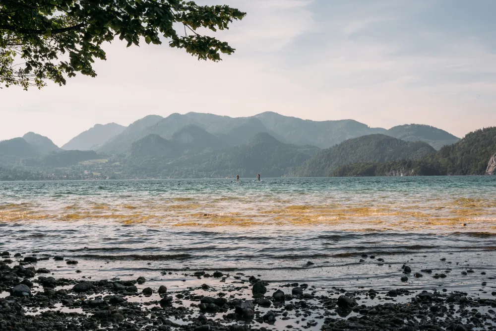 Paradies-Camping Wolfgangsee Birkenstrand