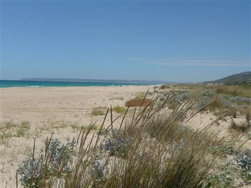 Camping Bahia de la Plata
