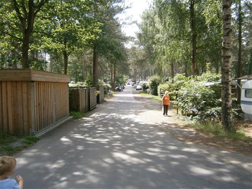 Campingplatz Finck in Deutschland - Spottocamp - Spottocamp