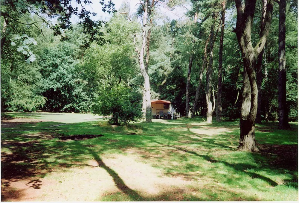 Natuurkampeerterrein Landgoed quadenoord