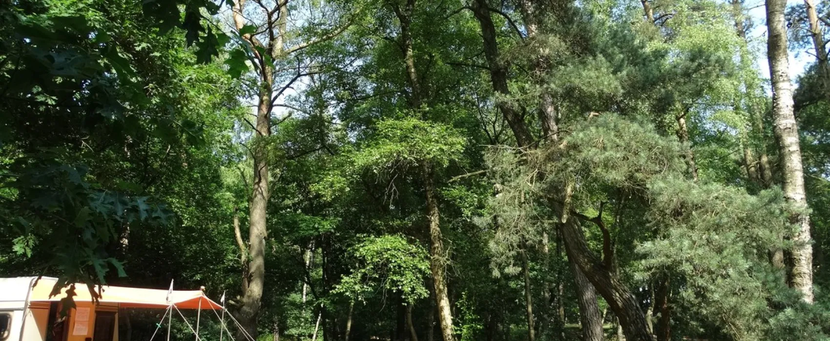 Natuurkampeerterrein Landgoed quadenoord