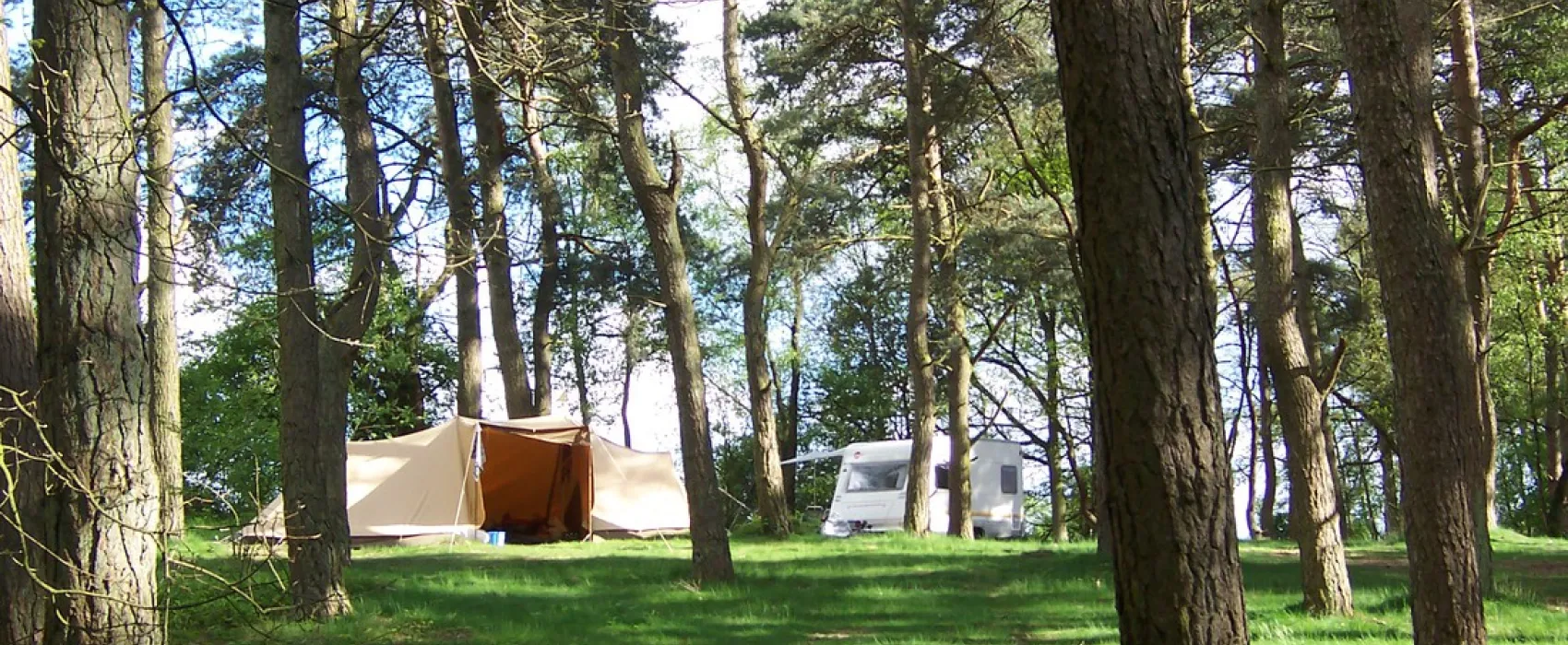 Natuurkampeerterrein Landgoed quadenoord