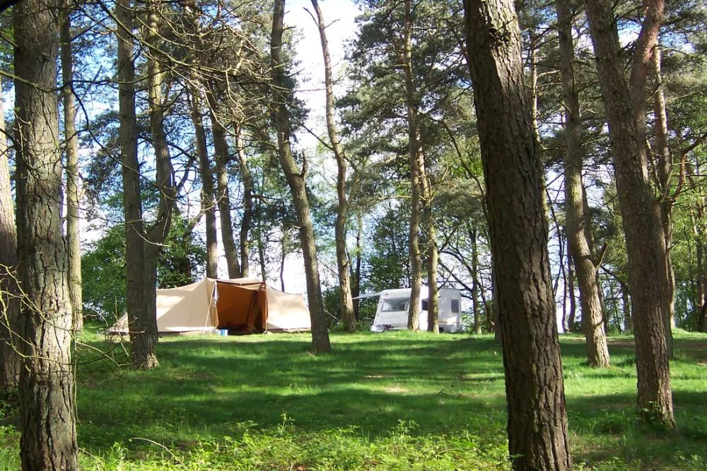 Natuurkampeerterrein Landgoed quadenoord