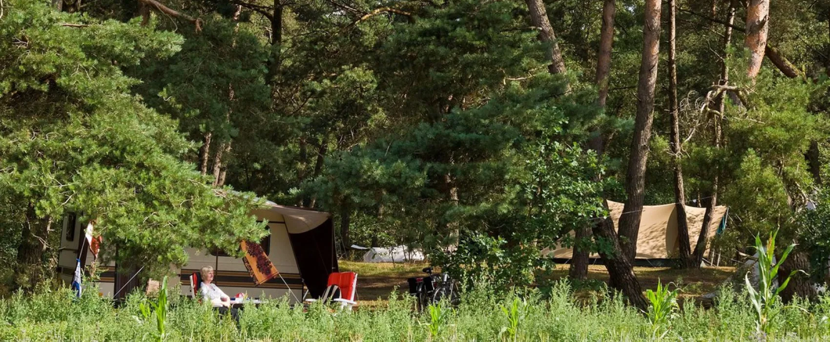 Natuurkampeerterrein Landgoed quadenoord