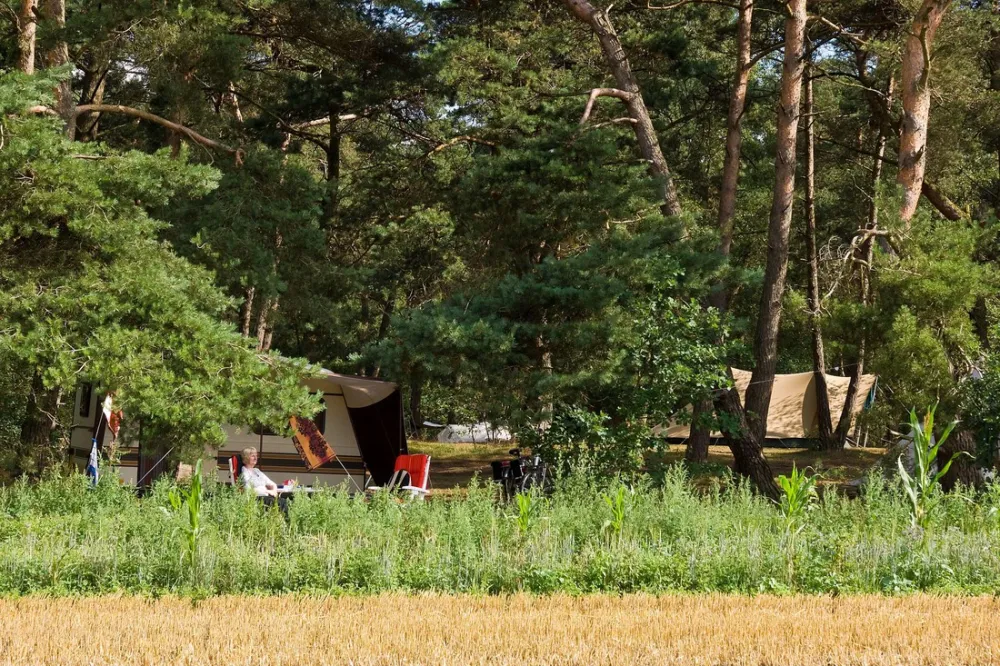 Natuurkampeerterrein Landgoed quadenoord