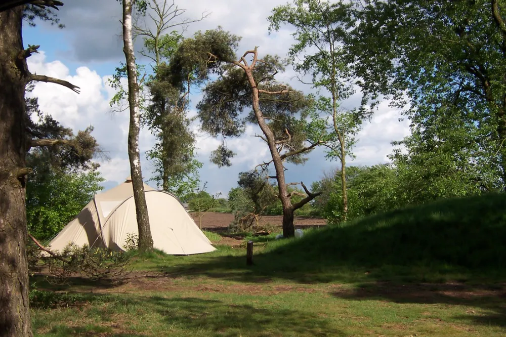 Natuurkampeerterrein Landgoed quadenoord