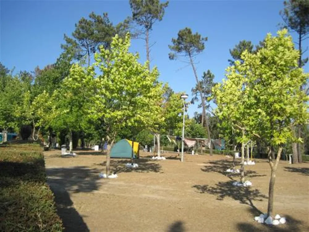 Parque de Campismo Municipal de Arganil