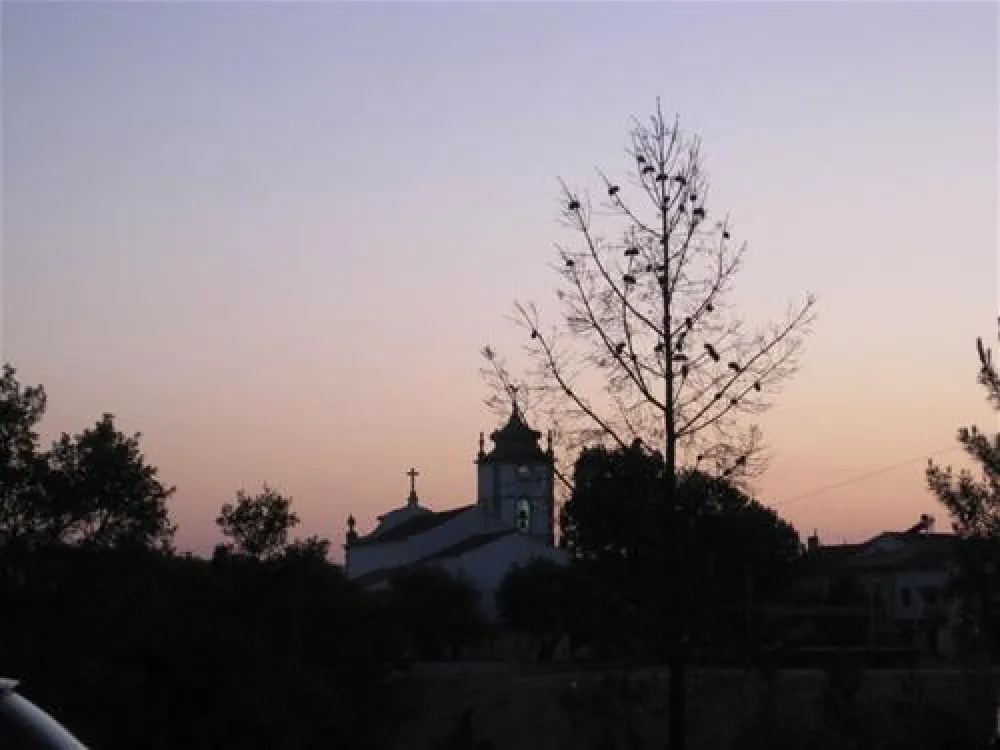 Parque de Campismo Municipal de Arganil