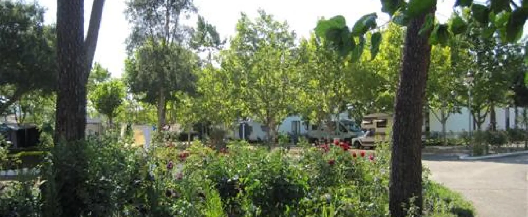 Parque de Campismo Municipal de Arganil