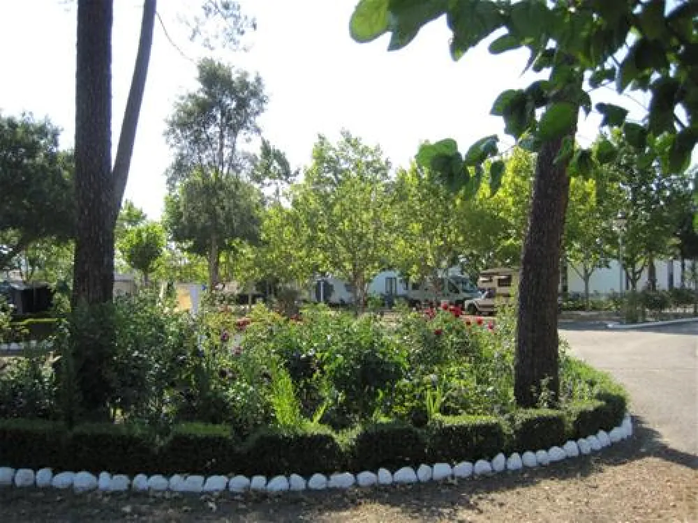 Parque de Campismo Municipal de Arganil