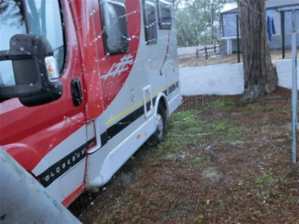 Parque de Campismo do Escaroupim