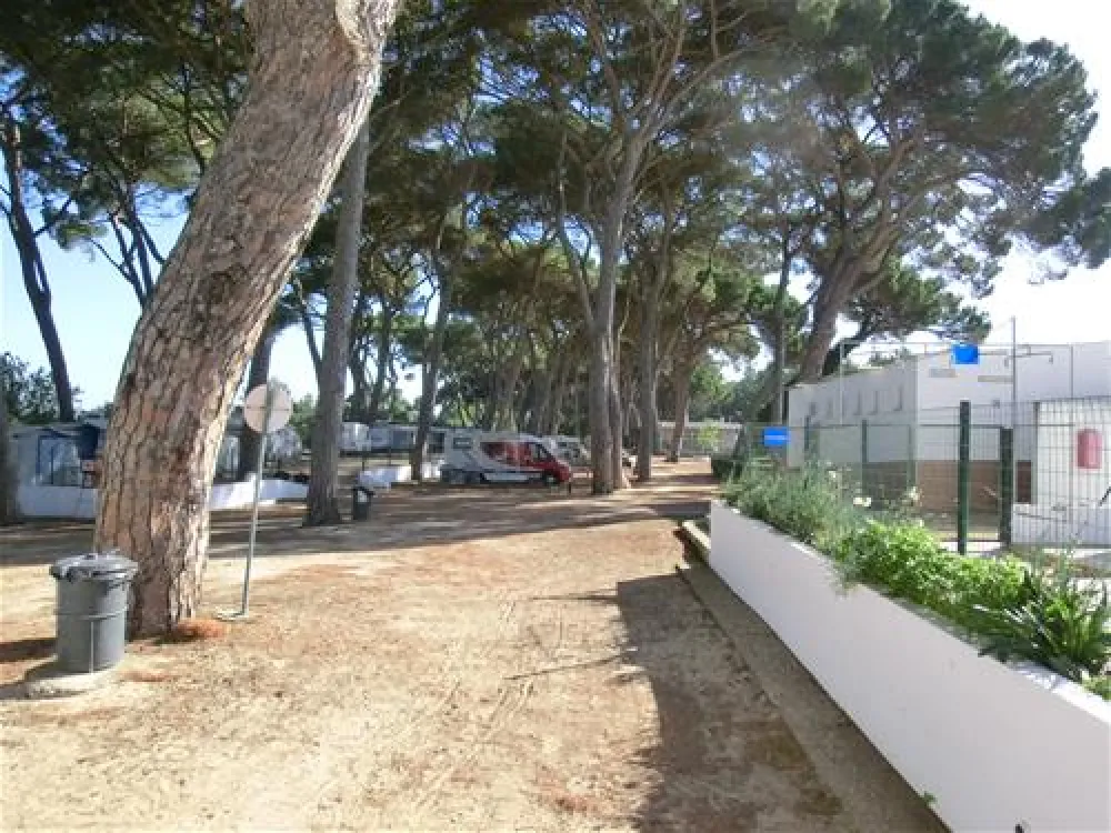 Parque de Campismo do Escaroupim