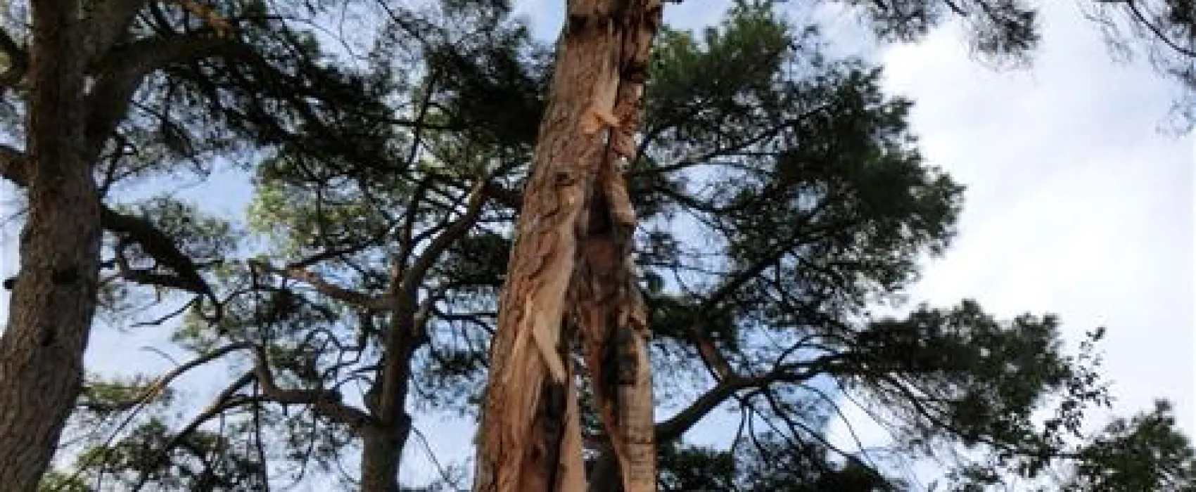 Parque de Campismo do Escaroupim