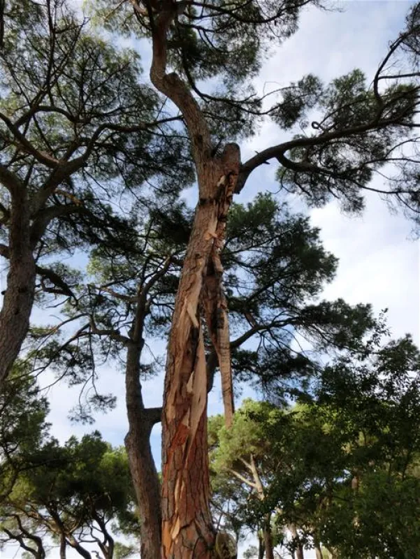 Parque de Campismo do Escaroupim