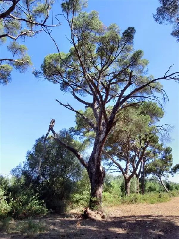 Parque de Campismo do Escaroupim