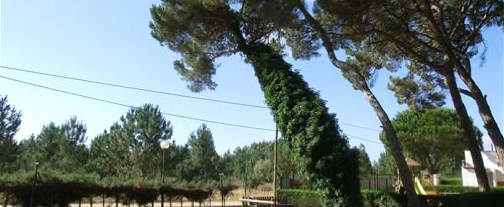 Parque de Campismo do Escaroupim