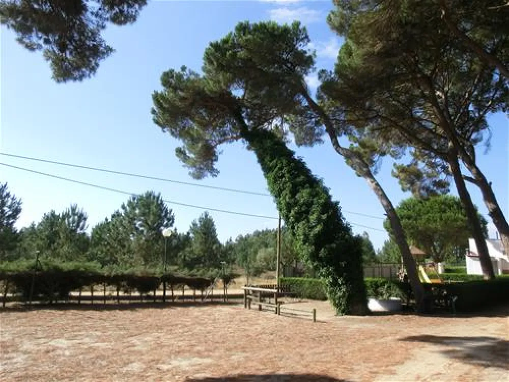 Parque de Campismo do Escaroupim