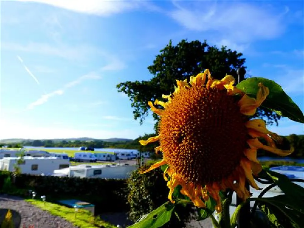 Loch Ken Holiday Park