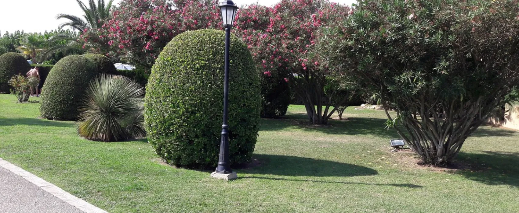 Camping La Ballena Alegre Costa Brava