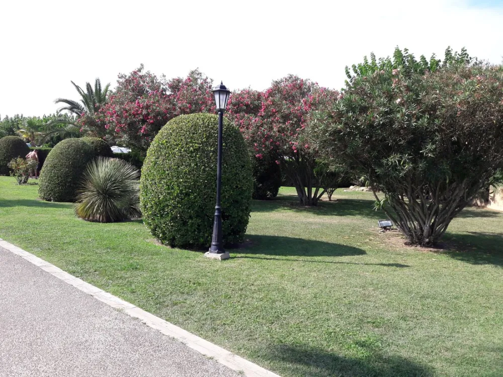 Camping La Ballena Alegre Costa Brava