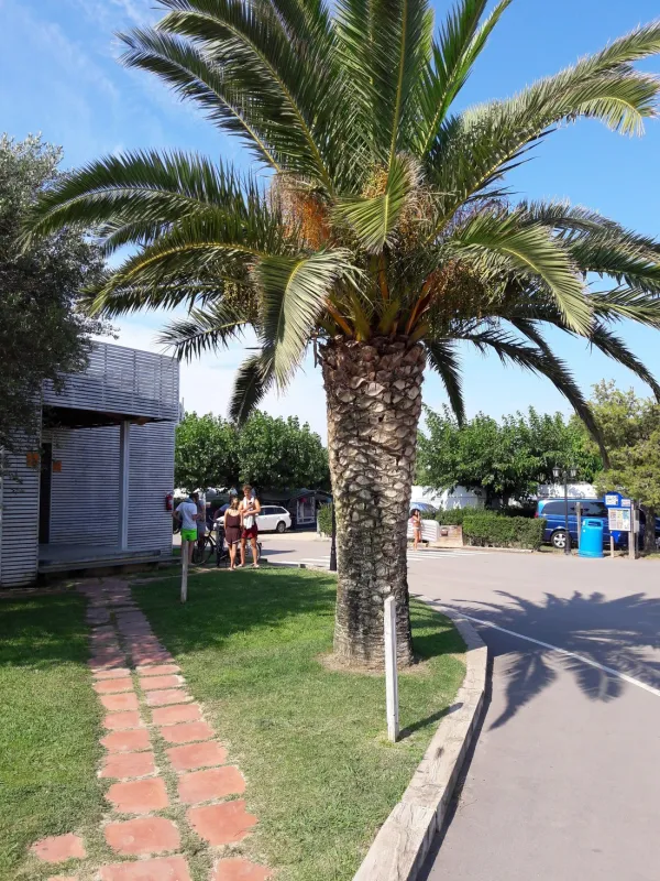 Camping La Ballena Alegre Costa Brava