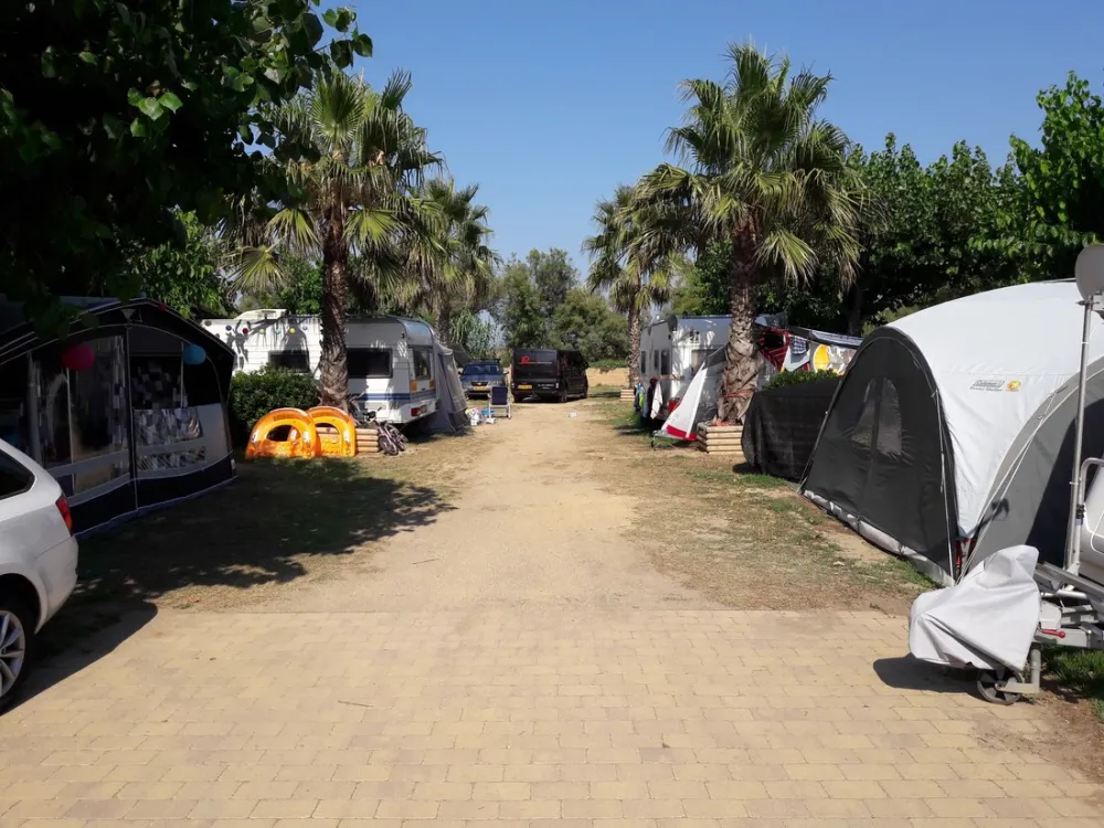 Camping La Ballena Alegre Costa Brava