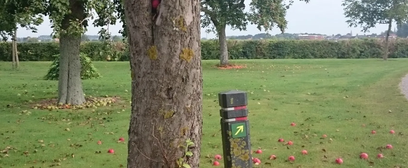 Minicamping De Stropielekker