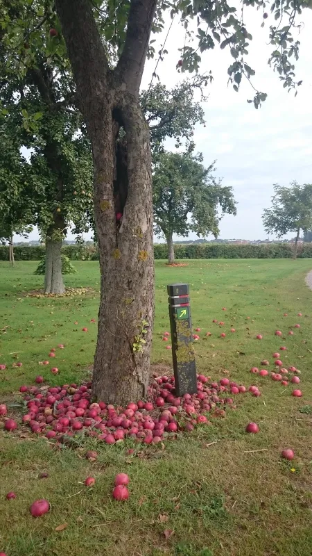 Minicamping De Stropielekker