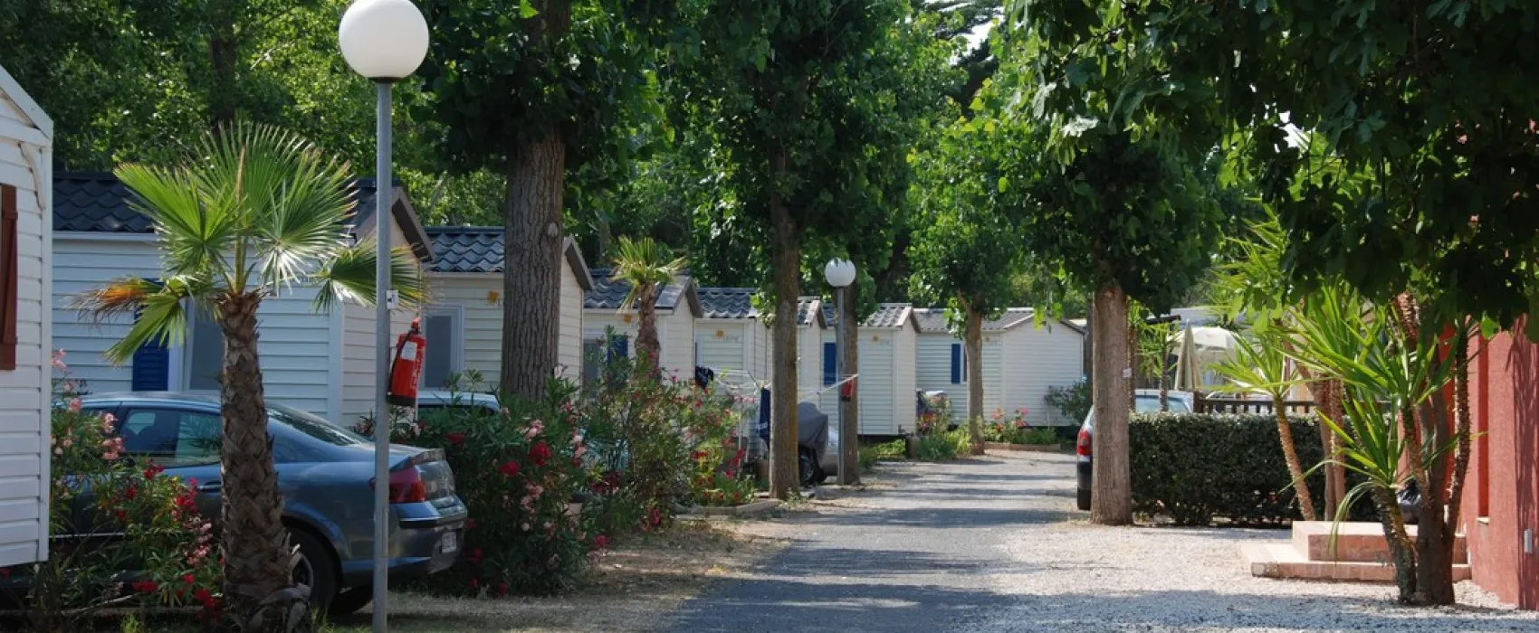 Flower camping - Le Mas De La Plage  