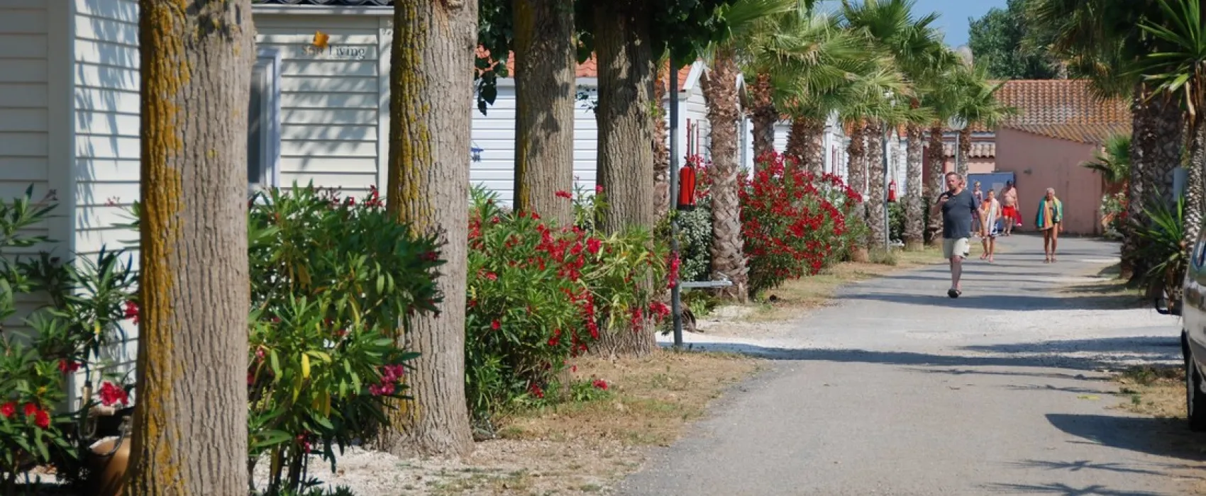 Flower camping - Le Mas De La Plage  