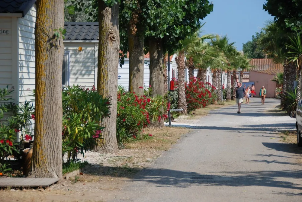 Flower camping - Le Mas De La Plage  
