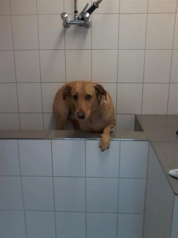 Alpen-Caravanpark Achensee