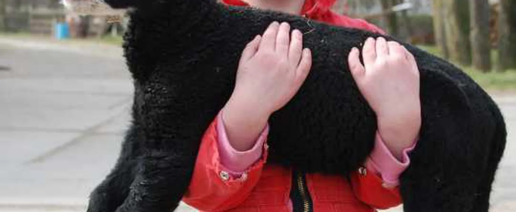 Natuurcamping De Boerderij