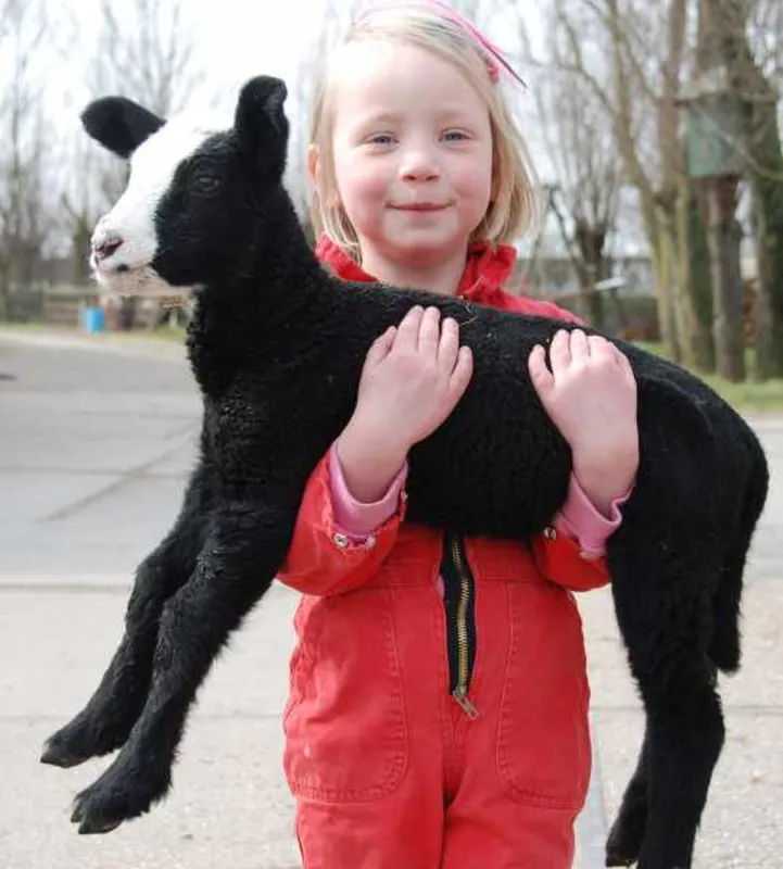 Natuurcamping De Boerderij