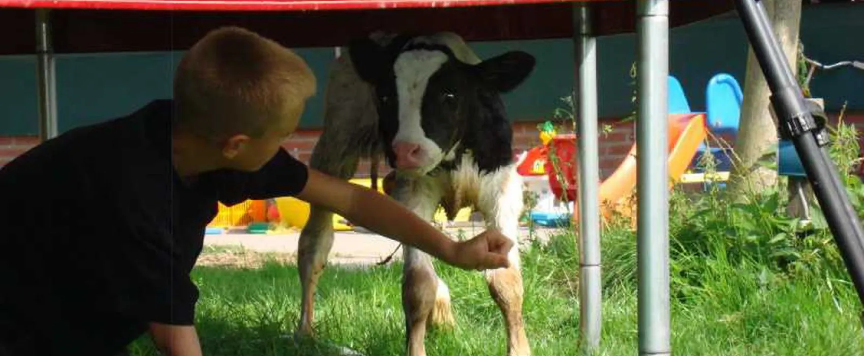 Natuurcamping De Boerderij