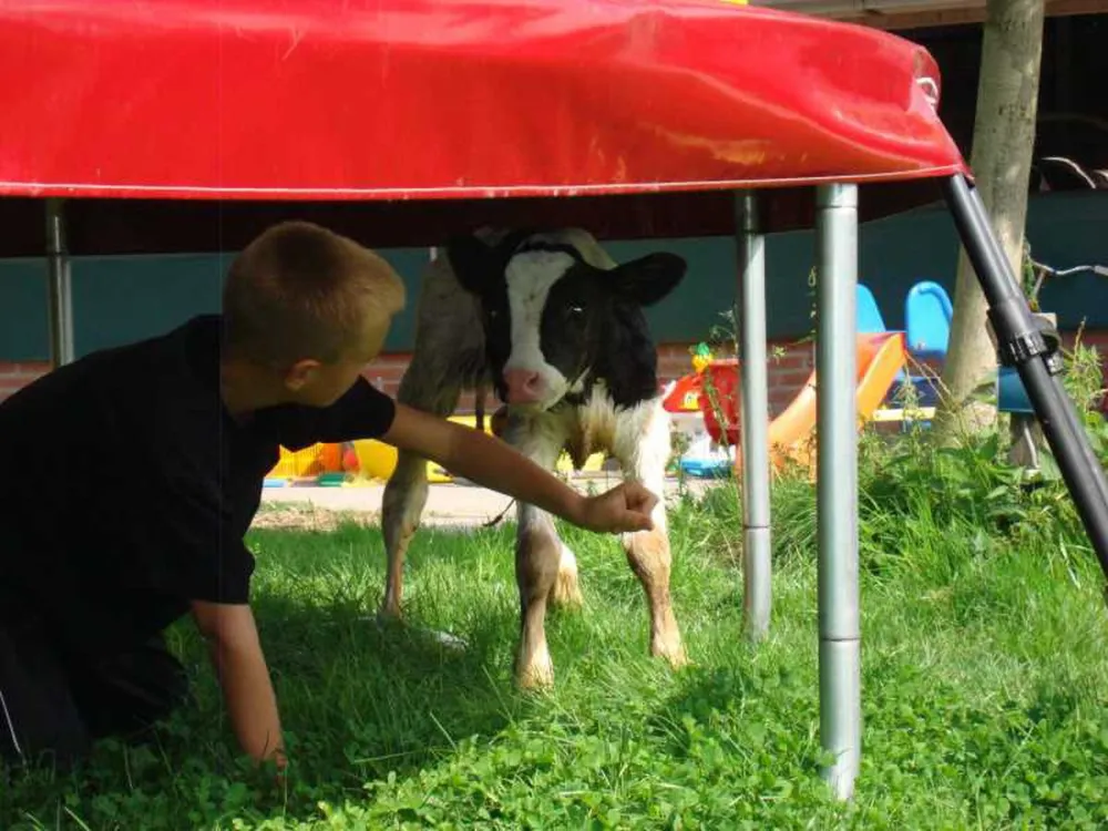 Natuurcamping De Boerderij