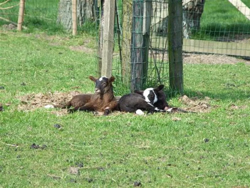 Natuurcamping De Boerderij