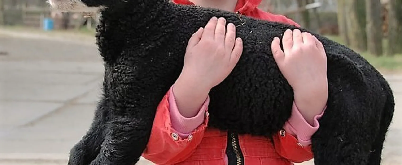 Natuurcamping De Boerderij