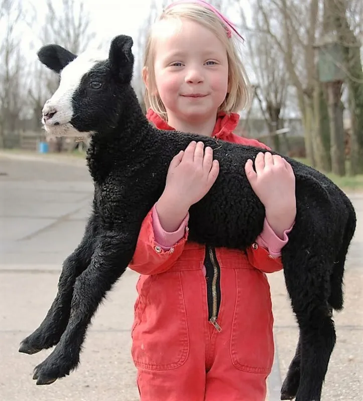 Natuurcamping De Boerderij