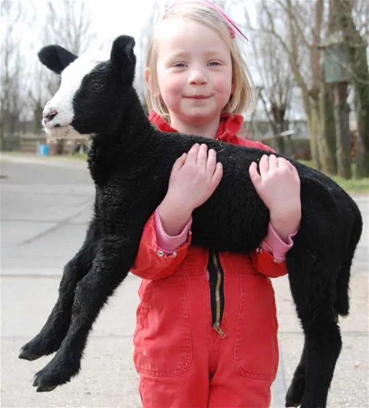 Natuurcamping De Boerderij
