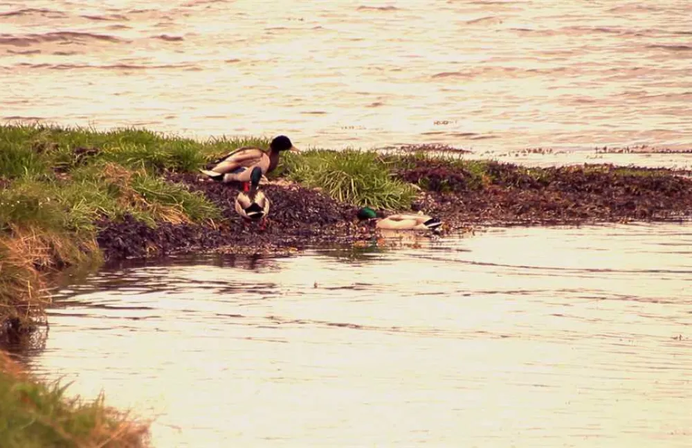 Bunchrew Caravan Park