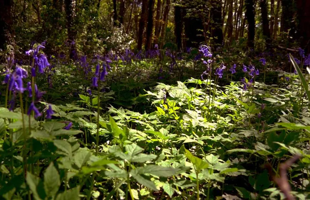 Bunchrew Caravan Park