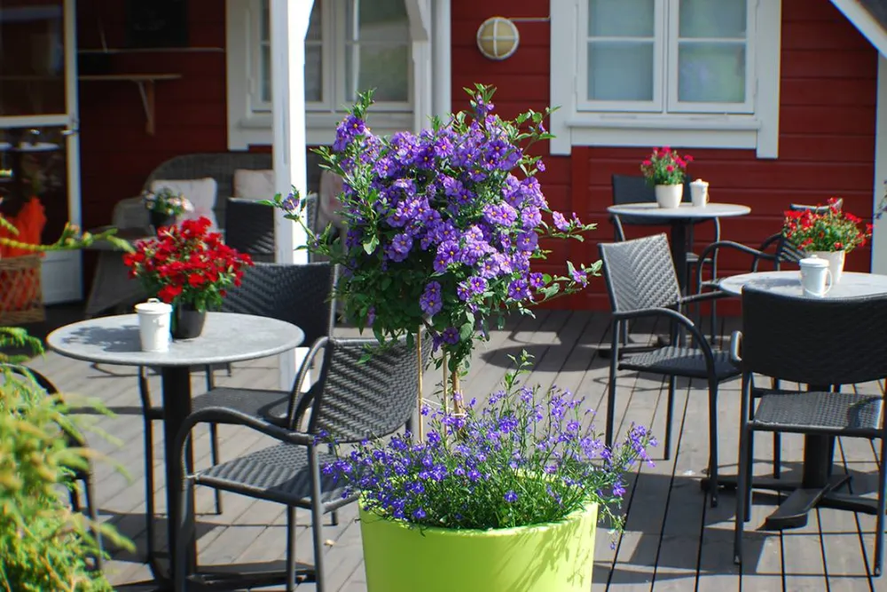 Bie Apartment & Feriesenter AS