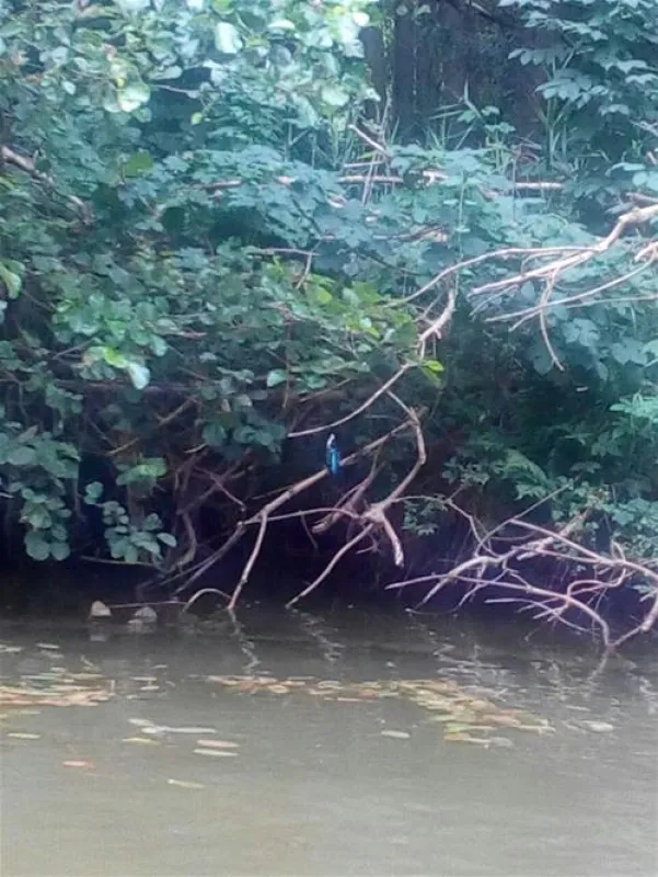 Campingplatz am Drewensee