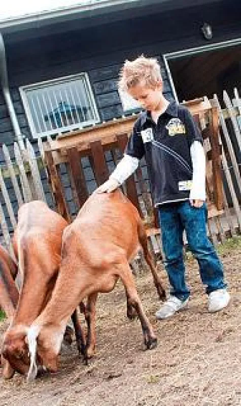 Kampeerpark De Boshoek