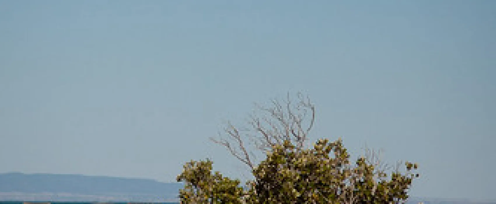 Fitzgerald Bay Campground