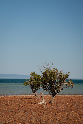 Fitzgerald Bay Campground
