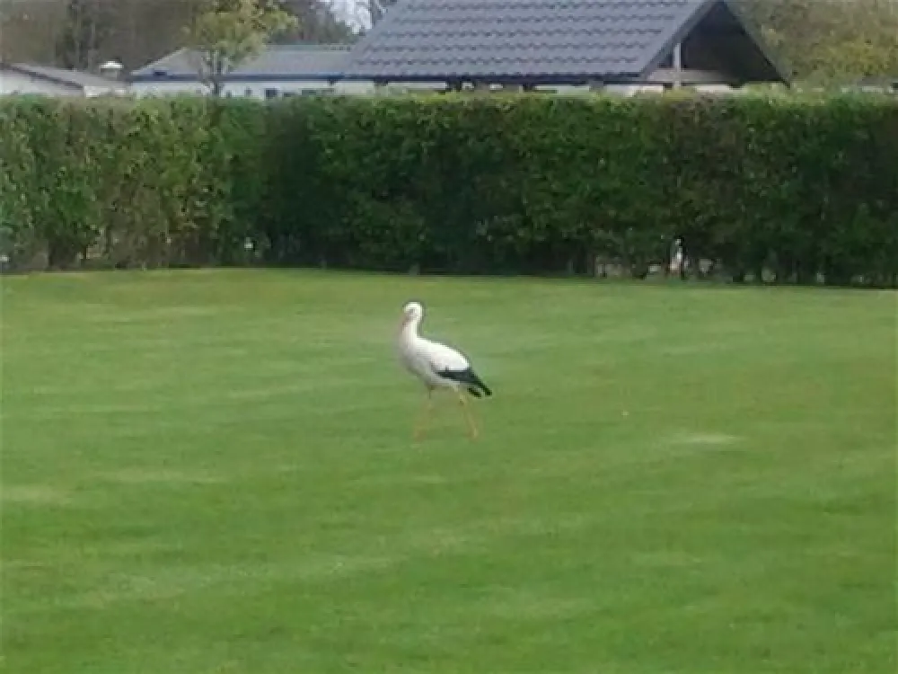 Camping De Zwinhoeve