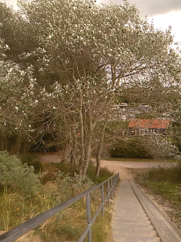 Camping De Zwinhoeve